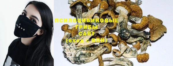 мет Каменка