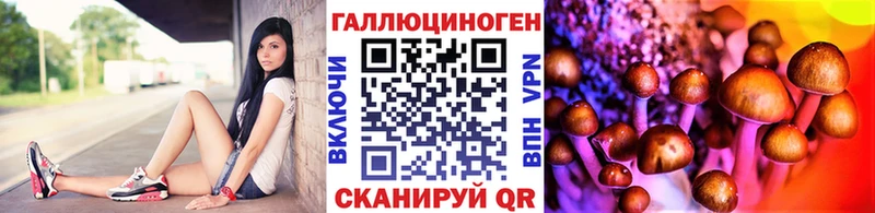 Псилоцибиновые грибы MAGIC MUSHROOMS  Купить закладки  Жуков 