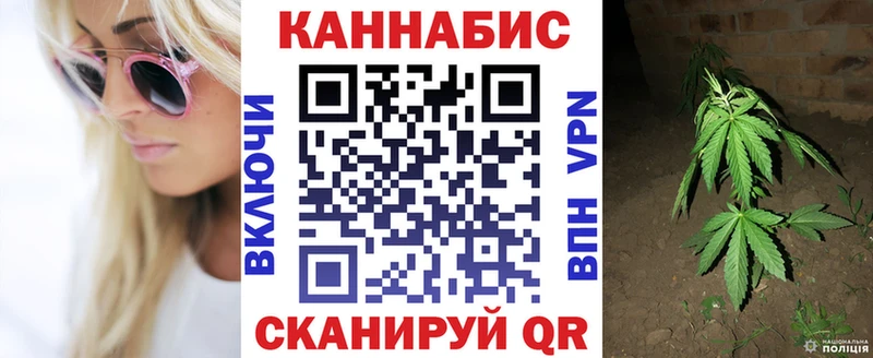 Шишки марихуана Bruce Banner  Купить где  Жуков 